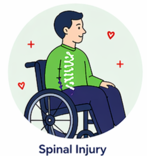Spinal injury support illustration